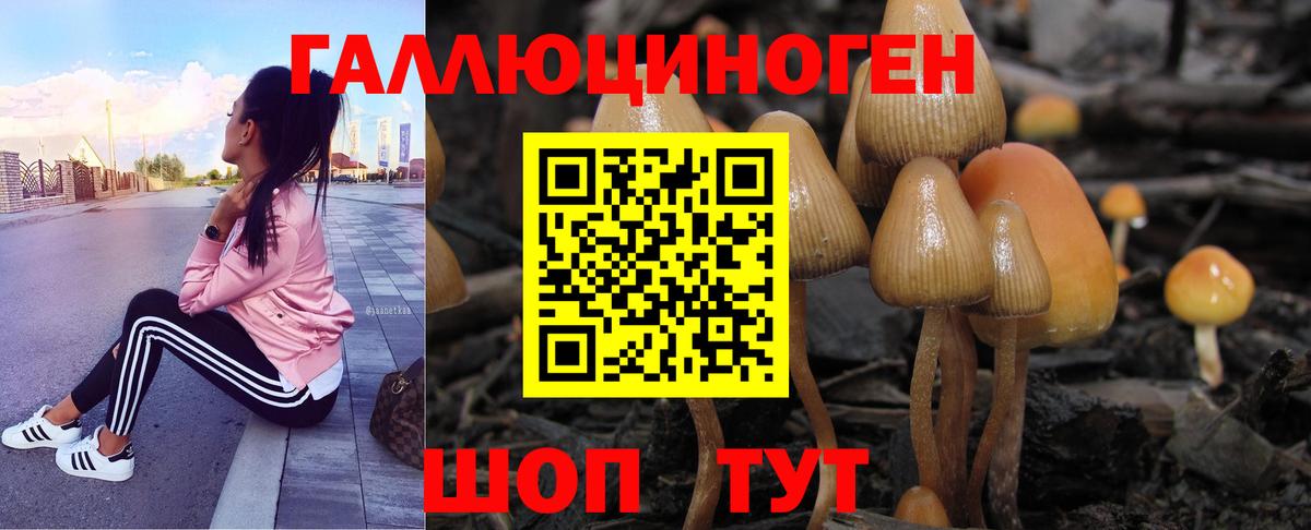 Павлово  Галлюциногенные грибы GOLDEN TEACHER  Вход с VPN 